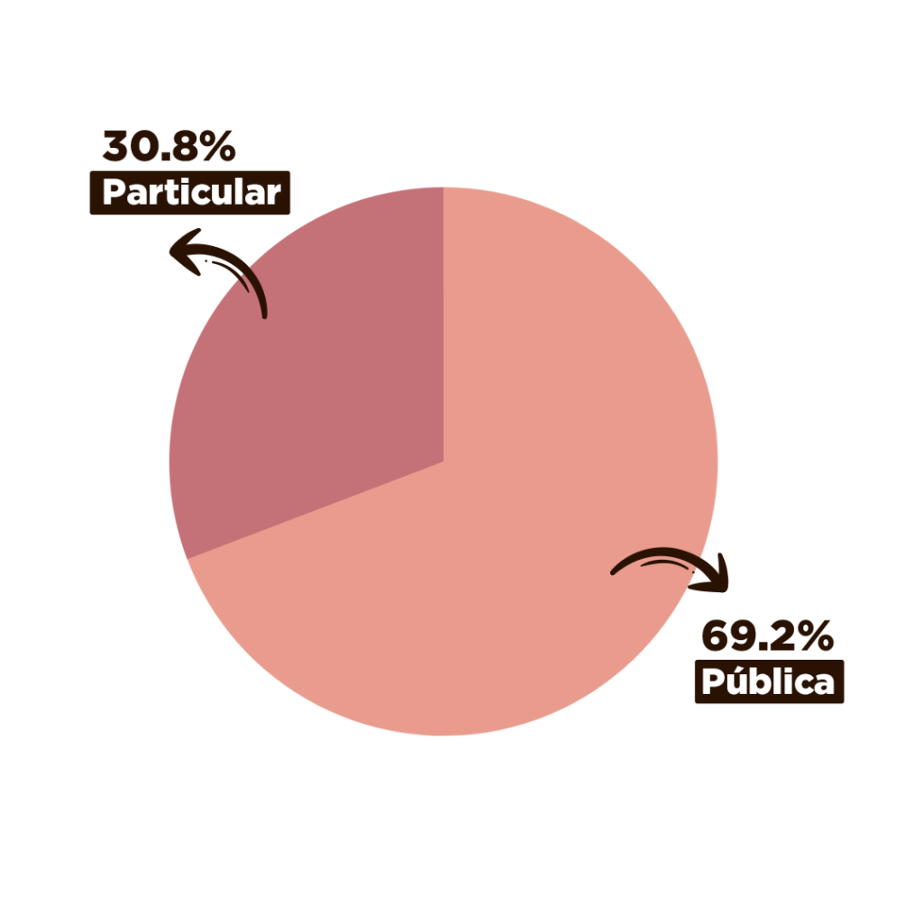 grafico 